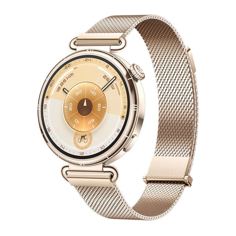 HUAWEI WATCH GT 6 Gold 41mm